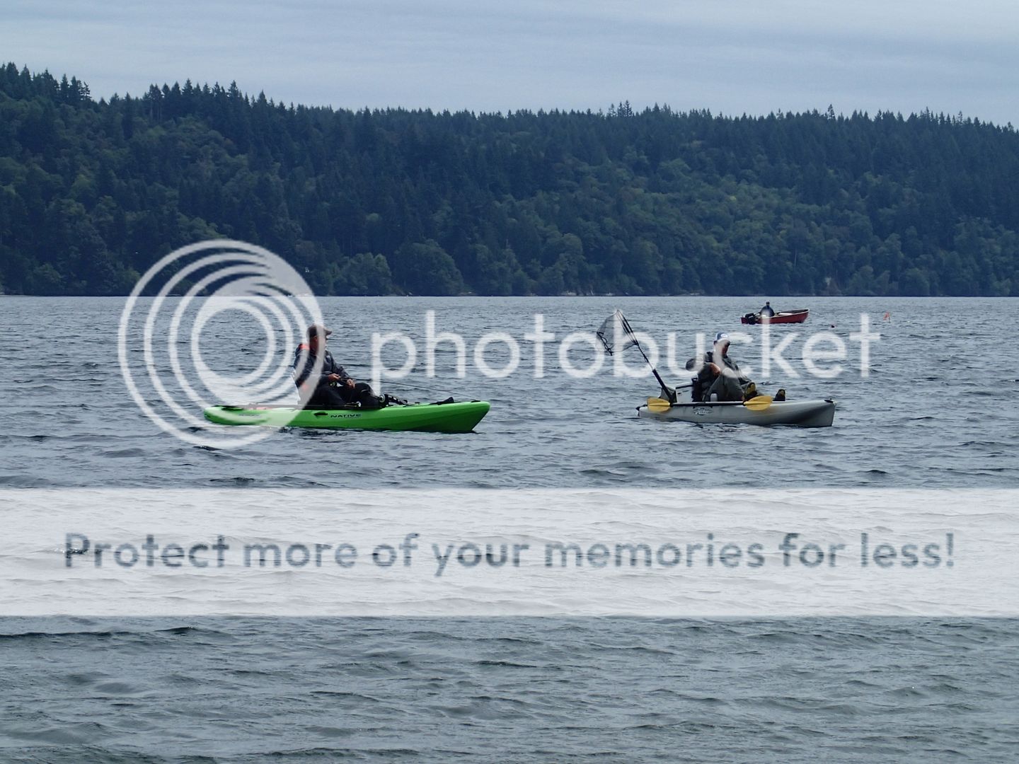 The Itinerant Angler